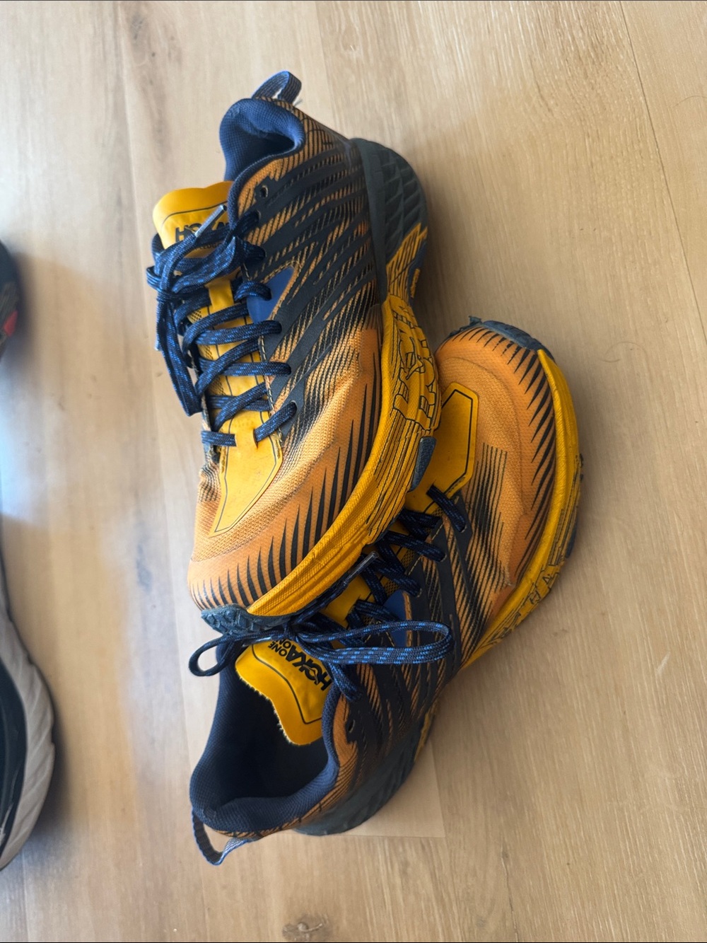 Hoka Speedgoat 4
